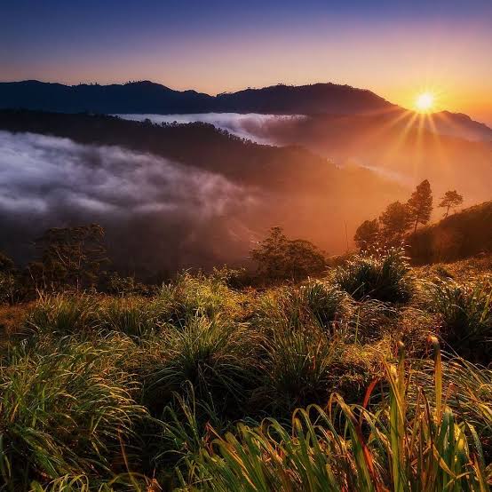 Little Adam's Peak Ella