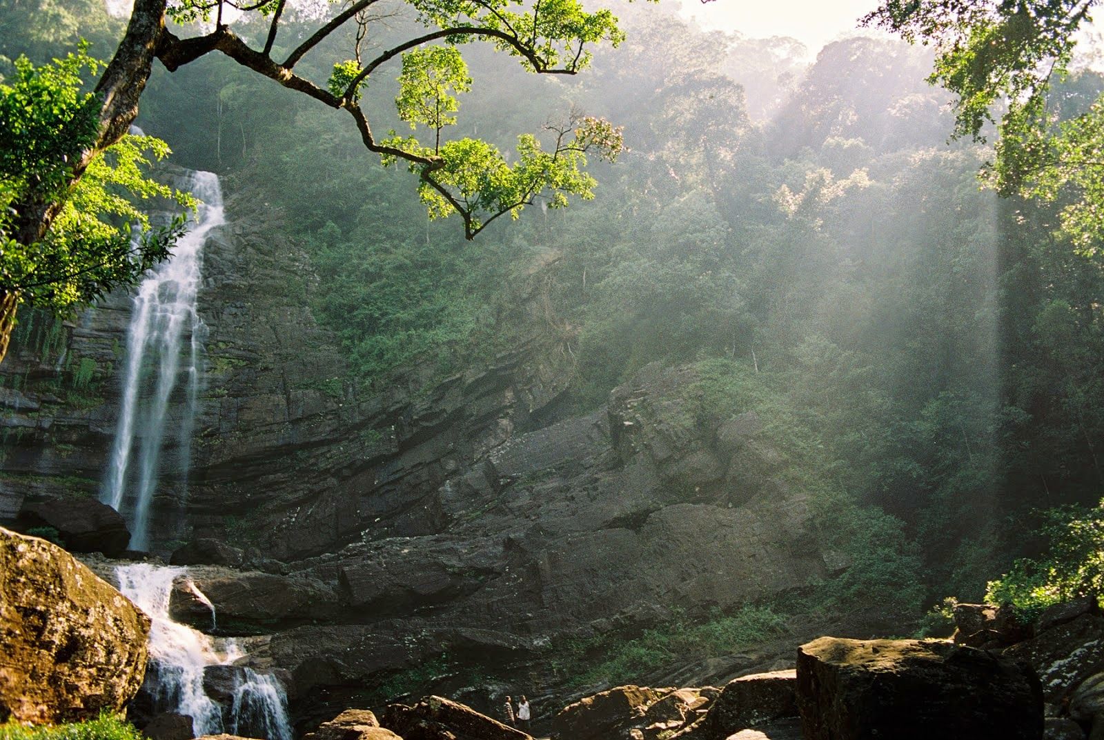 Sinharaja Rainforest Trek