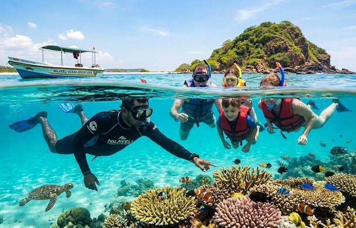 Pigeon Island Snorkeling