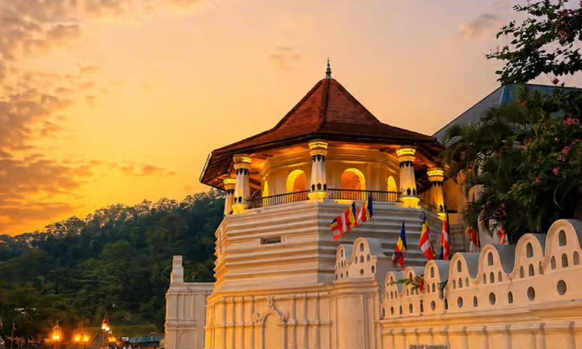 Highlights of Ceylon: Culture, Nature & Coast