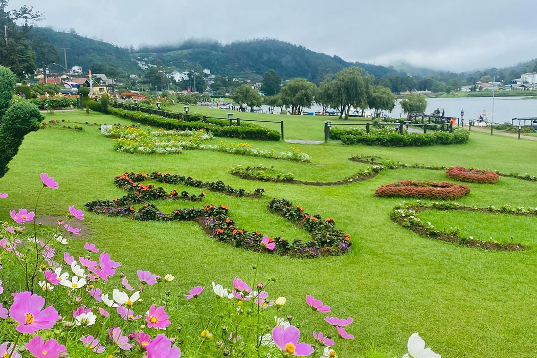 Nuwara Eliya Tea Gardens